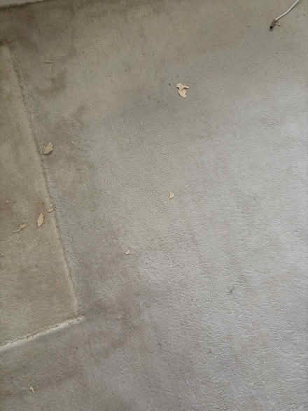 Photo of free Carpets used, cream, grey, green (ME1) #2