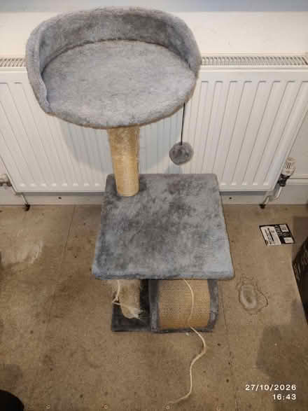 Photo of free Cat Tree (WA13DD) (Warrington) #1