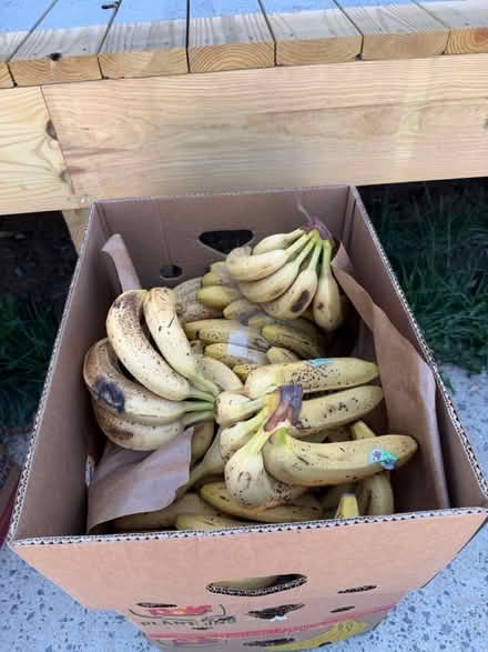Photo of free Banana’s Ready to bake and blend (13100 waters Landing Dr,) #2
