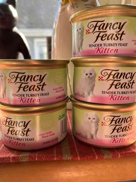 Photo of free Cat and kitten food (Somerville, MA) #2