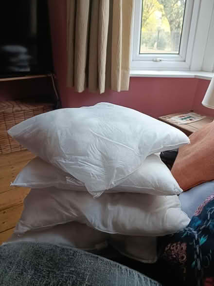 Photo of free Cushions (Easton BS5) #1