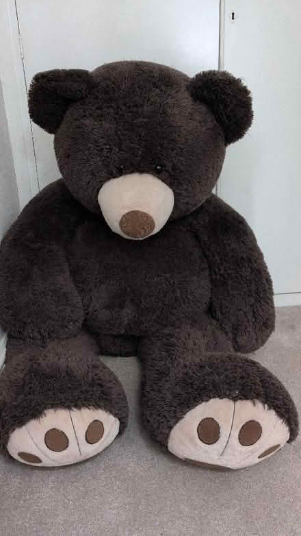 Photo of free Giant toy bear (Penrith CA11) #1