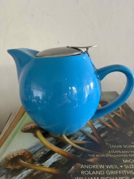 Photo of free Teapot (Oakland) #2