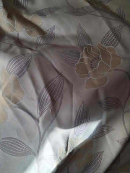 Photo of free Curtains (Pyrford GU22) #2