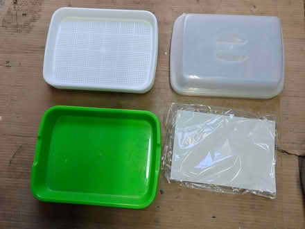 Photo of free Sprouting seed trays (Slough SL2) #1