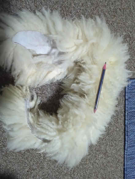 Photo of free Piece of reel sheepskin (Moorlands LA1) #1
