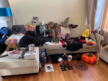 Photo of free Halloween costumes (Redwood shores) #1