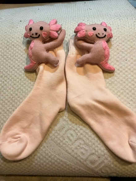 Photo of free Character Socks (Merry Hill WD23) #1