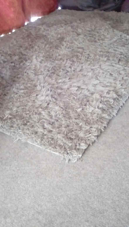 Photo of free Next shaggy rug (Wigston, LE18) #2