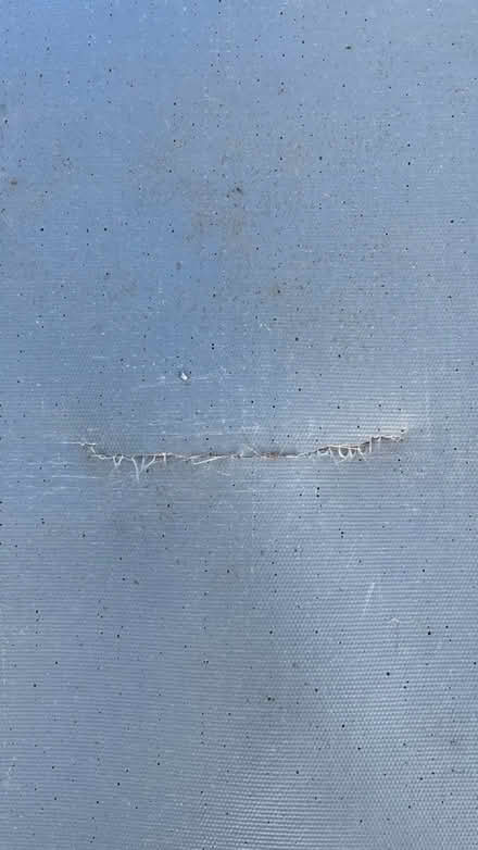 Photo of free Horse Hair Mat (Bramshaw SO43) #3