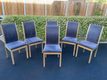 Photo of free 6 Dining Chairs (Norton in Hales TF9) #1