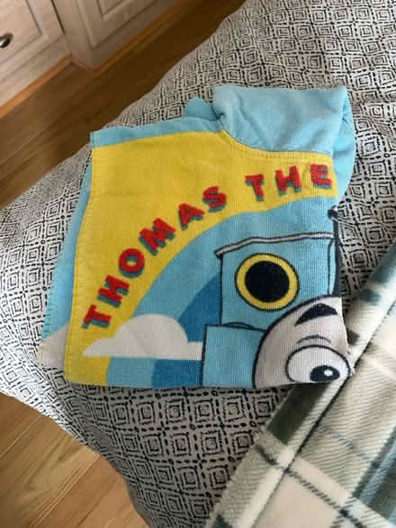 Photo of free 2 children’s hooded towels (Broomfield CM1) #2