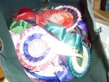 Photo of free Rosettes (Blagdon BS40) #1