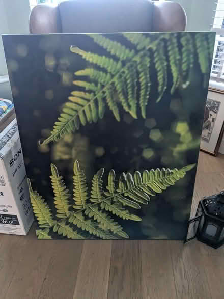 Photo of free Photo canvas print (M32 stretford) #2