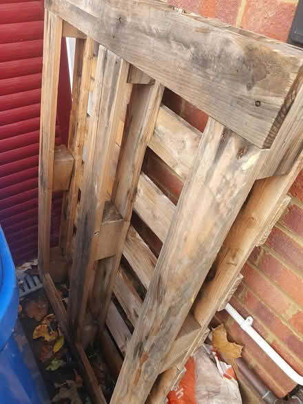 Photo of free Wooden pallet (Maidenhead, SL6 4) #1