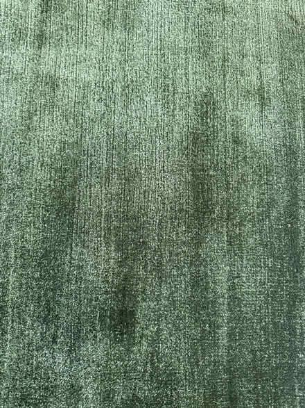 Photo of free Satara carpet in Moss (Newington Green N16) #1