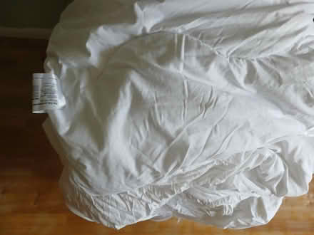 Photo of free Single duvet set sheet (Margate CT9) #2