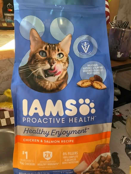 Photo of free Cat and kitten food (Somerville, MA) #1