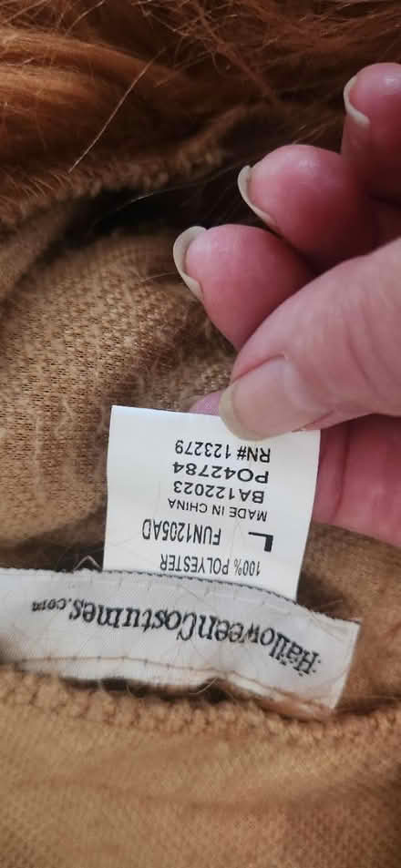 Photo of free Men's Size LG Lion Costume (Pearland, TX) #1