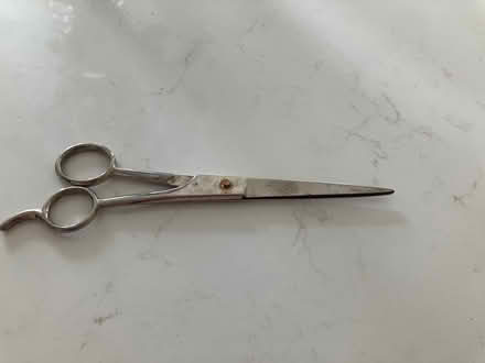 Photo of free Scissors (Southwest Ann Arbor) #1