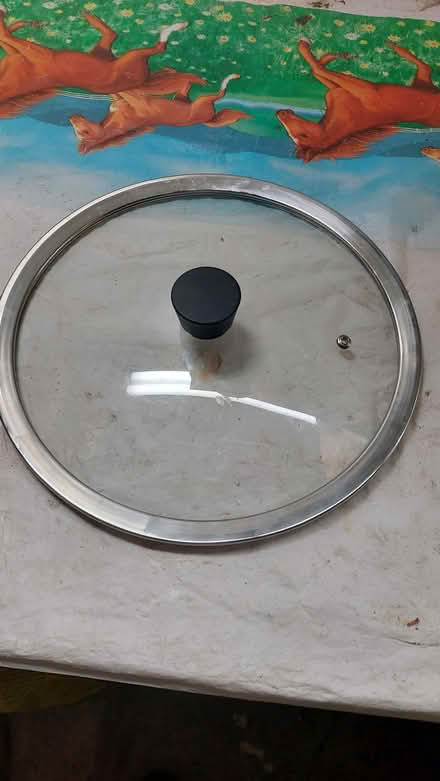 Photo of free Saucepan/frying pan lid (Beaches, Toronto) #1