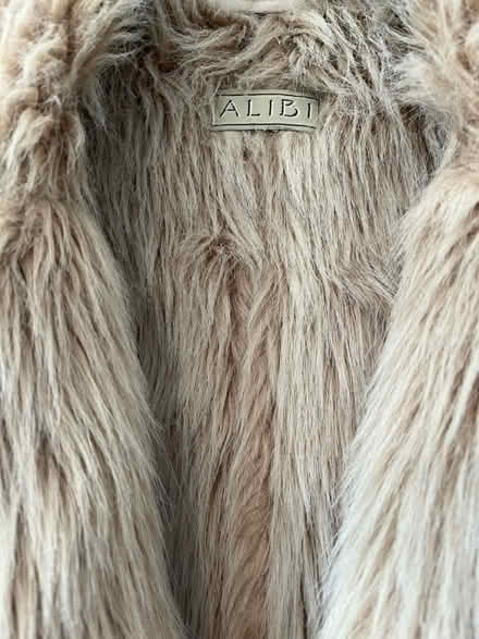 Photo of free Gillet/Imitation Sheepskin (Titchfield Common PO14) #2