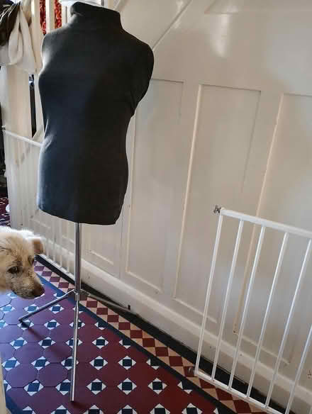 Photo of free Dressmaking mannequin size 10/12 (OX4 Temple Cowley) #1