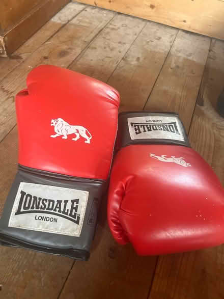 Photo of free Adult boxing gloves (Uxbridge) #1