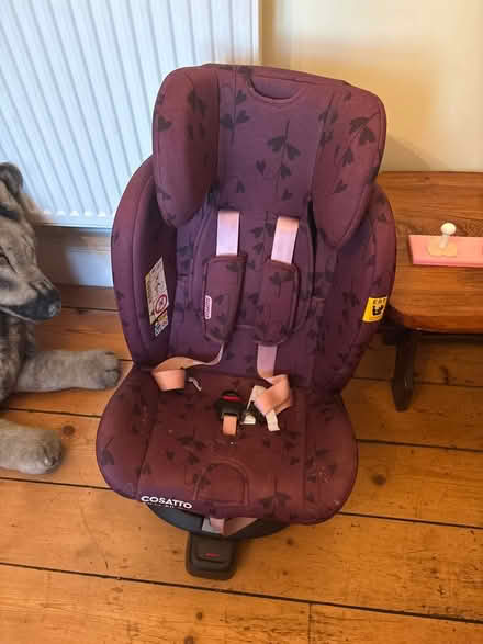 Photo of free Cosatto car seat (West winch PE33) #1