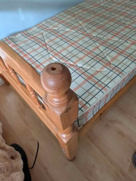 Photo of free bunk bed/single beds (Nailsea BS48) #3