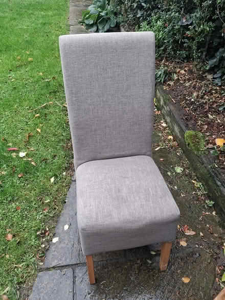 Photo of free 8 Dining room chairs (KCR Terenue) #1