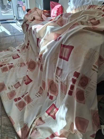 Photo of free Curtains (Pyrford GU22) #1