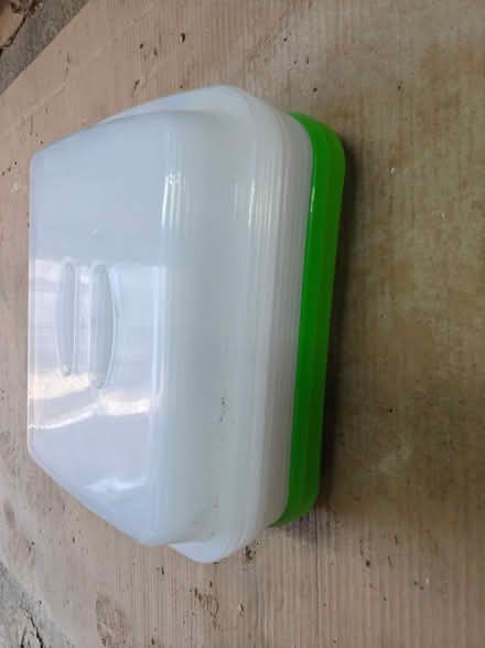 Photo of free Sprouting seed trays (Slough SL2) #2