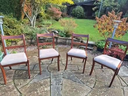 Photo of free Set of four dining chairs (Roffey RH12) #2