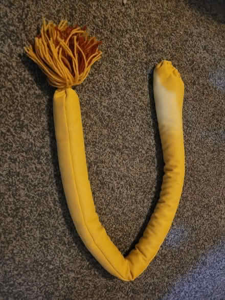 Photo of free Lion's tail for fancy dress (Diglis WR5) #1