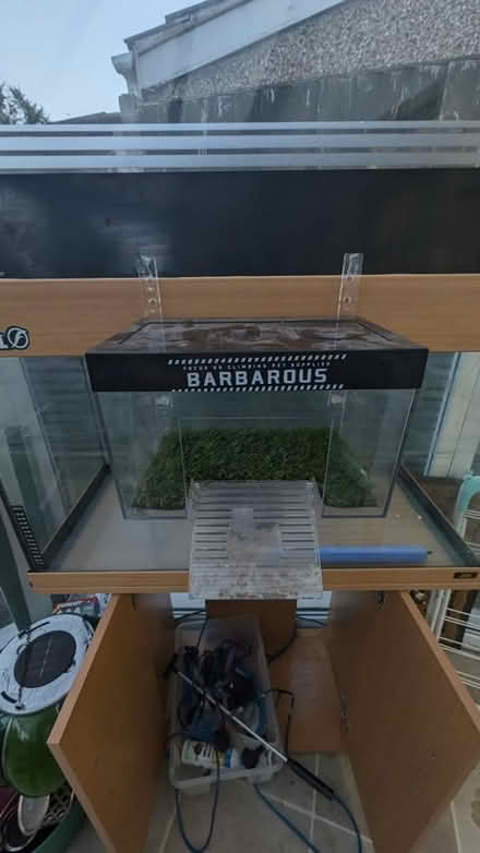 Photo of free Tank with lots of stuff for turtles (Thurrock RM16) #4