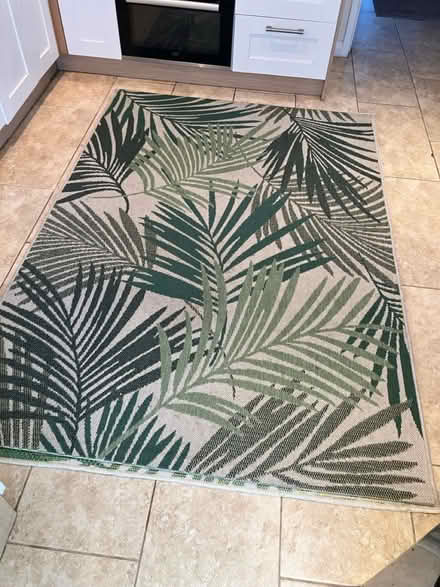 Photo of free Indoor/outdoor fern rug (Shoreham By Sea BN43) #1
