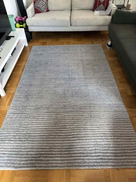 Photo of free Gray rug (Olympia W14) #1