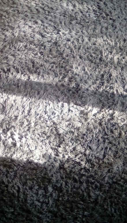 Photo of free Next shaggy rug (Wigston, LE18) #3