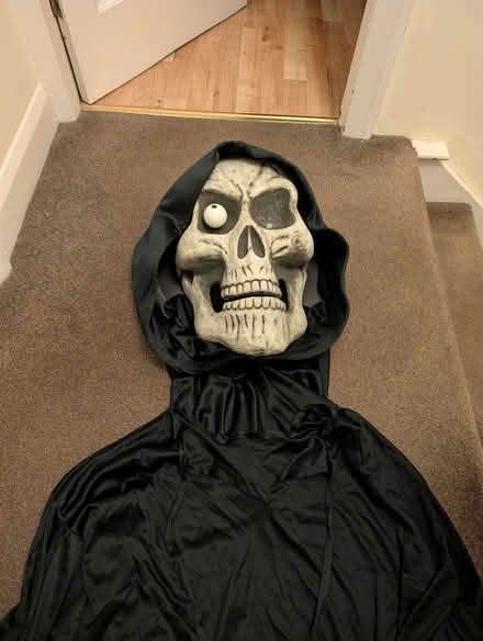 Photo of free Halloween costume (Boldmere B73) #1