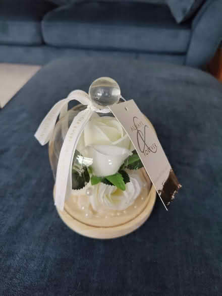 Photo of free Decorative white rose in jar (Wheathampstead AL4) #1