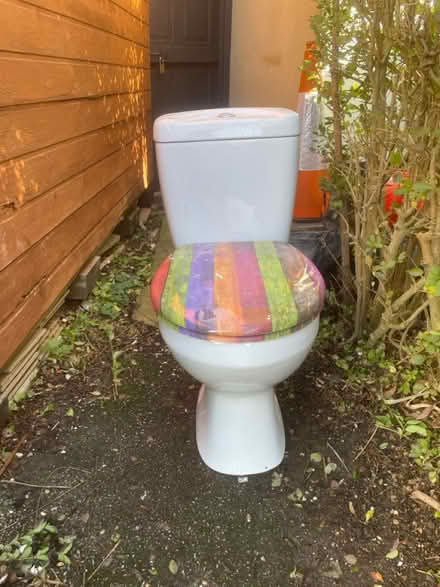 Photo of free “throne” (Potters Bar EN6) #1