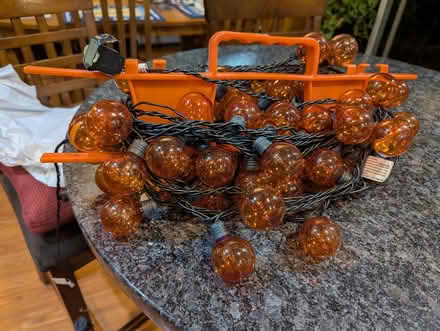 Photo of free Orange Halloween Lights (New Paltz) #1