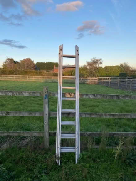 Photo of free ladders (Croft WA3) #1