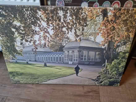 Photo of free Botanical gardens canvas print (Hunters Bar S11) #1