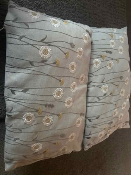 Photo of free 4 Dunelm rectangular cushions (Plumpton CA11) #1