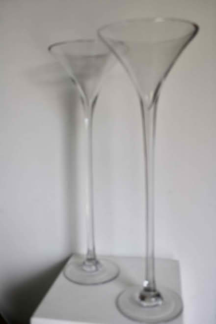 Photo of free 2 x martini gass vases (Stockbridge EH4) #1
