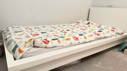 Photo of free IKEA malm single bed frame (HG5 Knaresborogh) #1