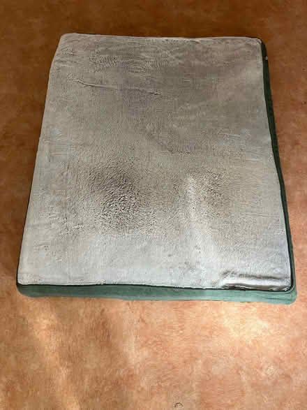 Photo of free Dog mattress (Barnacre PR3) #1