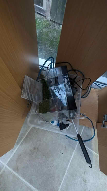 Photo of free Tank with lots of stuff for turtles (Thurrock RM16) #3